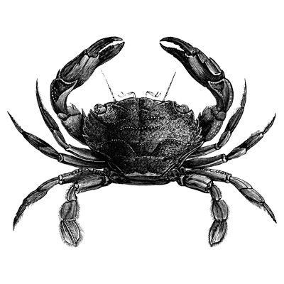 crab